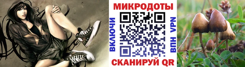 Псилоцибиновые грибы Psilocybine cubensis  Стародуб 